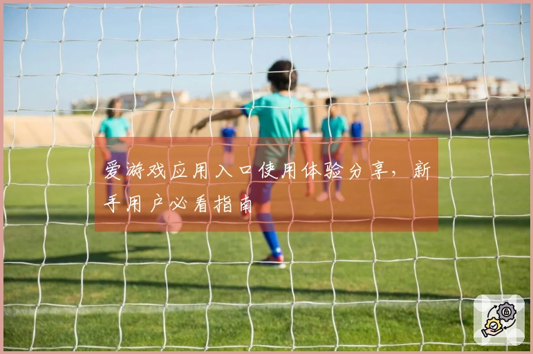 爱游戏应用入口使用体验分享，新手用户必看指南