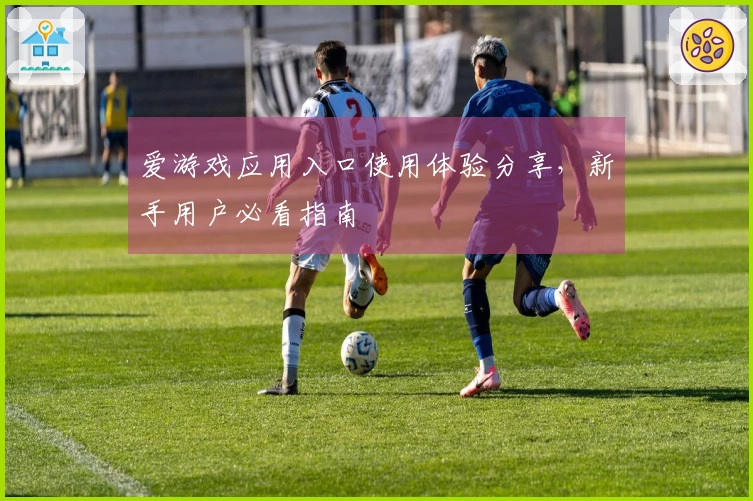 爱游戏应用入口使用体验分享，新手用户必看指南